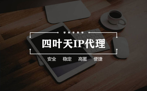 【厦门代理IP】如何快速搭建代理IP？怎么检查代理的效果？